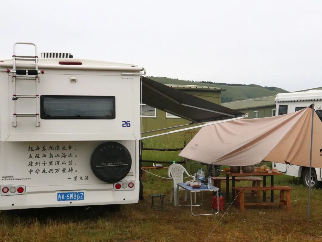 來福，以精致矗立在野性之中