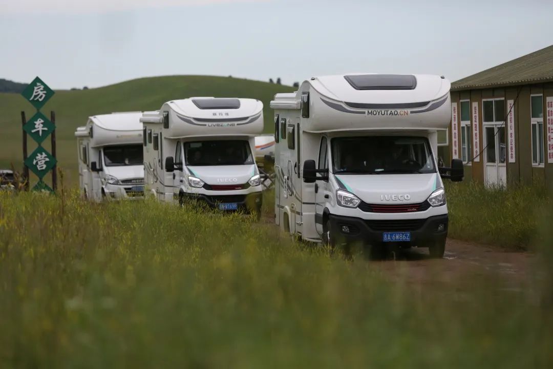 來福，以精致矗立在野性之中